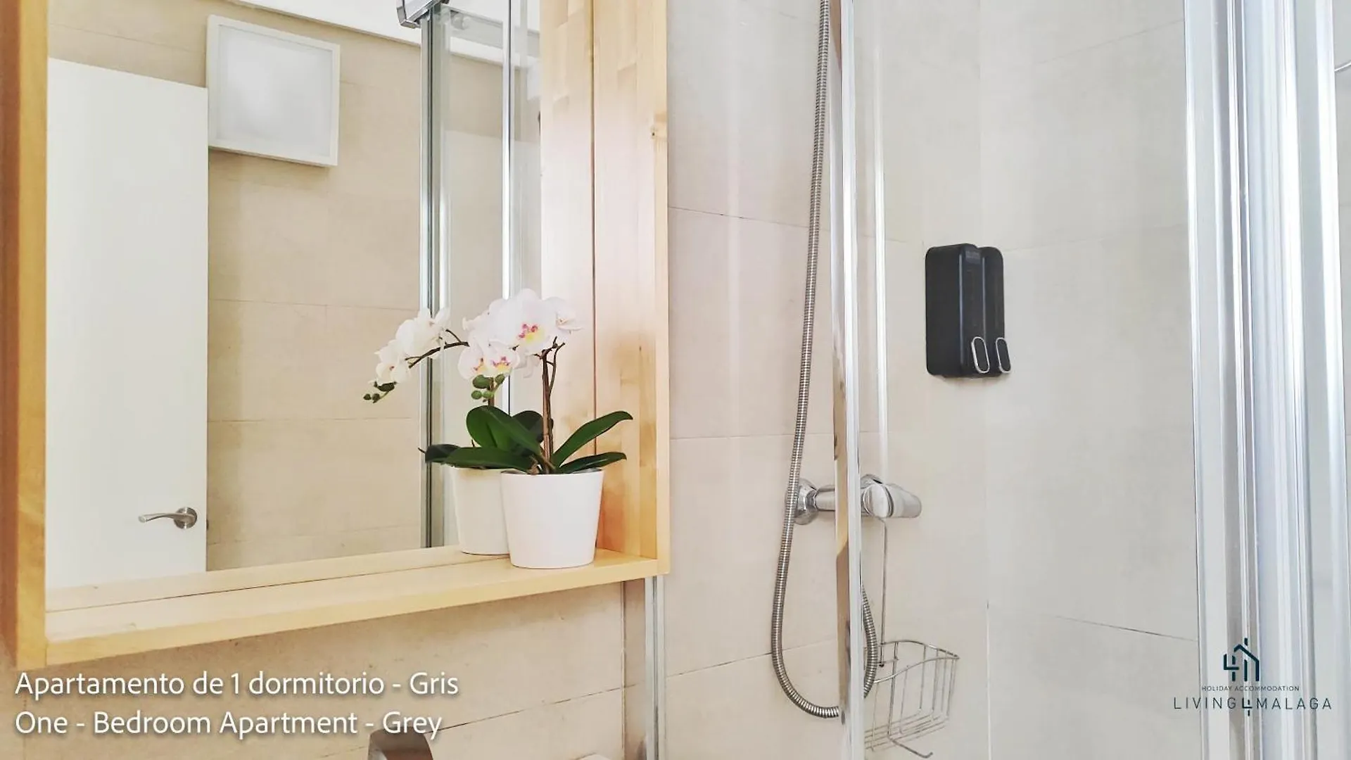 Living4Malaga Suites Superior Apartment